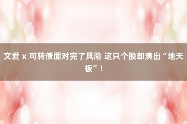 文爱 x 可转债面对完了风险 这只个股却演出“地天板”！