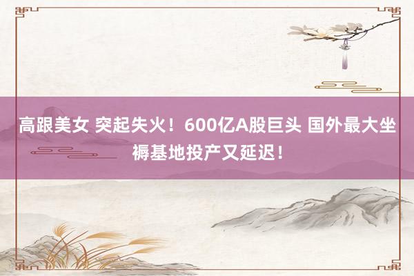 高跟美女 突起失火！600亿A股巨头 国外最大坐褥基地投产又延迟！