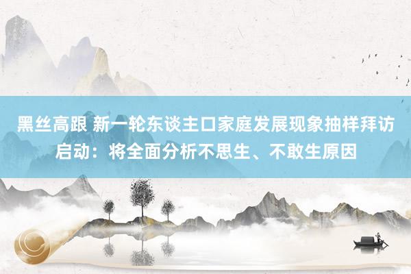 黑丝高跟 新一轮东谈主口家庭发展现象抽样拜访启动：将全面分析不思生、不敢生原因