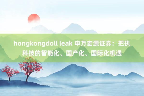 hongkongdoll leak 申万宏源证券：把执科技的智能化、国产化、国际化机遇