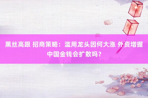 黑丝高跟 招商策略：滥用龙头因何大涨 外资增握中国金钱会扩散吗？