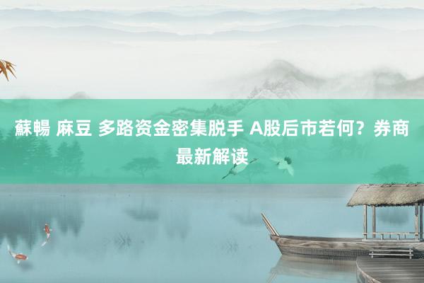 蘇暢 麻豆 多路资金密集脱手 A股后市若何？券商最新解读