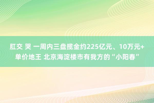 肛交 哭 一周内三盘揽金约225亿元、10万元+单价地王 北京海淀楼市有我方的“小阳春”