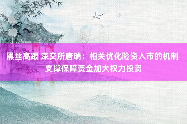 黑丝高跟 深交所唐瑞：相关优化险资入市的机制 支撑保障资金加大权力投资